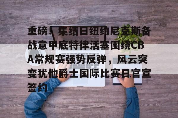 爱游戏注册-纽约尼克斯vs底特律活塞